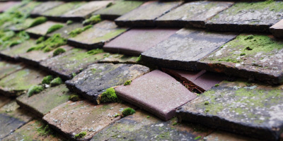 Tranmere roof repair costs